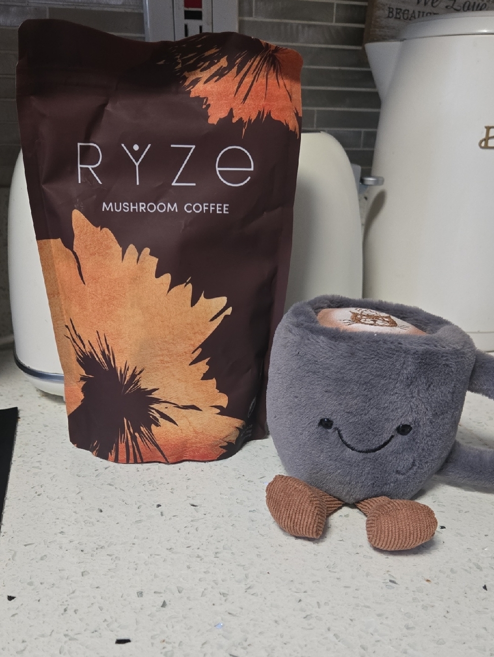 Ryze Mushroom Coffee - Brown & Orange Packaging